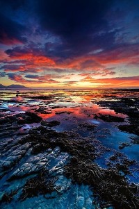 欧德队主场大胜，实现赛季最佳表现