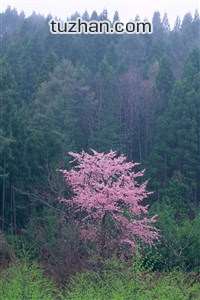 即将加盟米内罗竞技，23岁雷尼尔5个赛季零出场离开皇马，米内罗竞技对瑞模贝雷