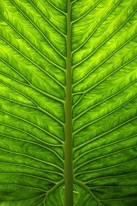 即将加盟米内罗竞技，23岁雷尼尔5个赛季零出场离开皇马，米内罗竞技对瑞模贝雷