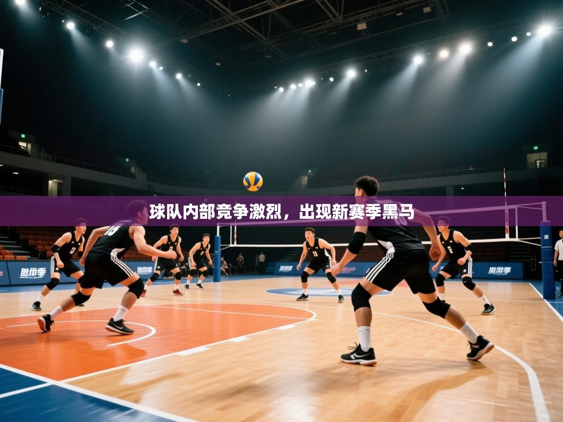 球队内部竞争激烈，出现新赛季黑马  第1张