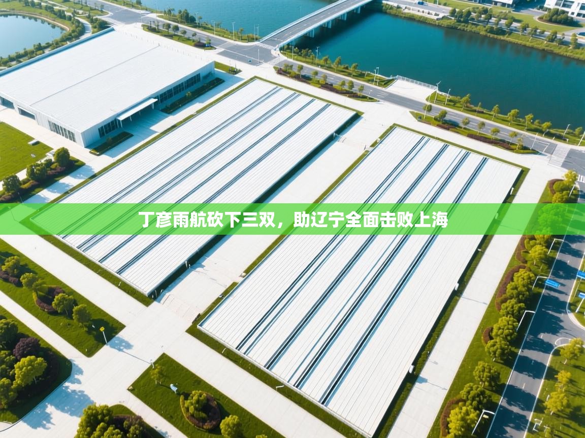 丁彦雨航砍下三双，助辽宁全面击败上海