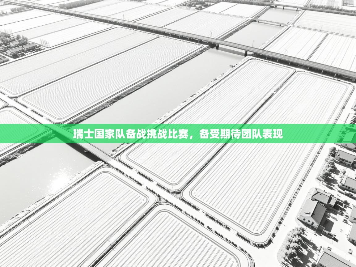 瑞士国家队备战挑战比赛，备受期待团队表现  第1张